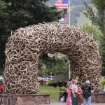 Jackson Antlers Arch