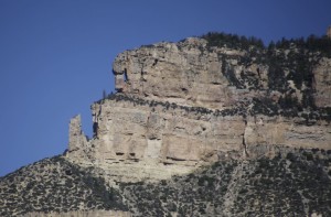 Pink Elephant Staring at a Bear